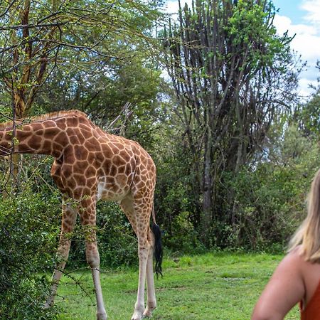 Mbweha Camp Lake Nakuru Elmenteita Екстер'єр фото