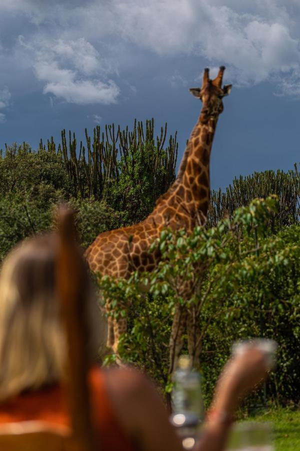 Mbweha Camp Lake Nakuru Elmenteita Екстер'єр фото