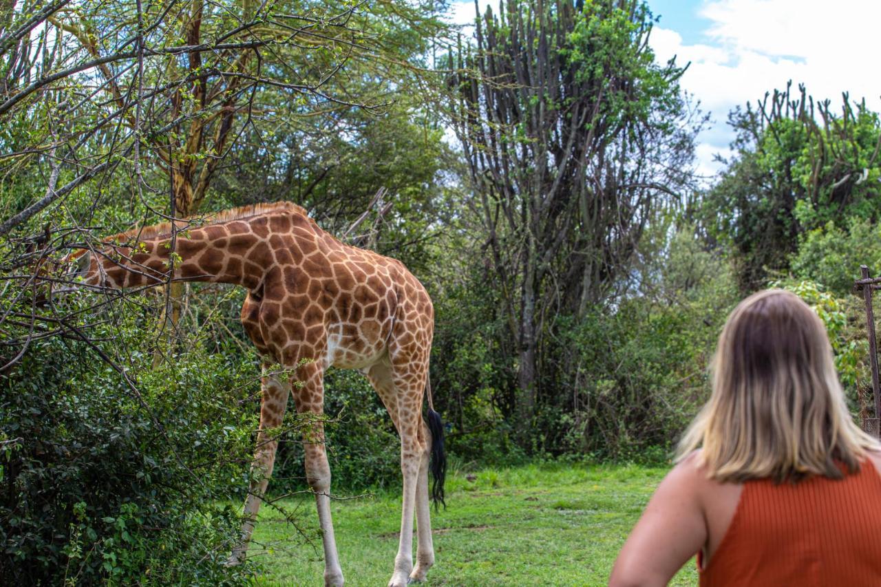 Mbweha Camp Lake Nakuru Elmenteita Екстер'єр фото