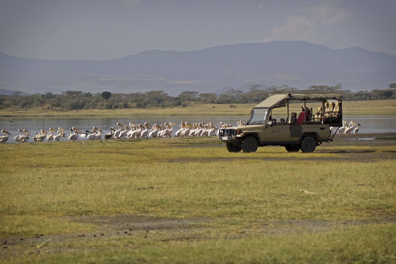 Mbweha Camp Lake Nakuru Elmenteita Екстер'єр фото